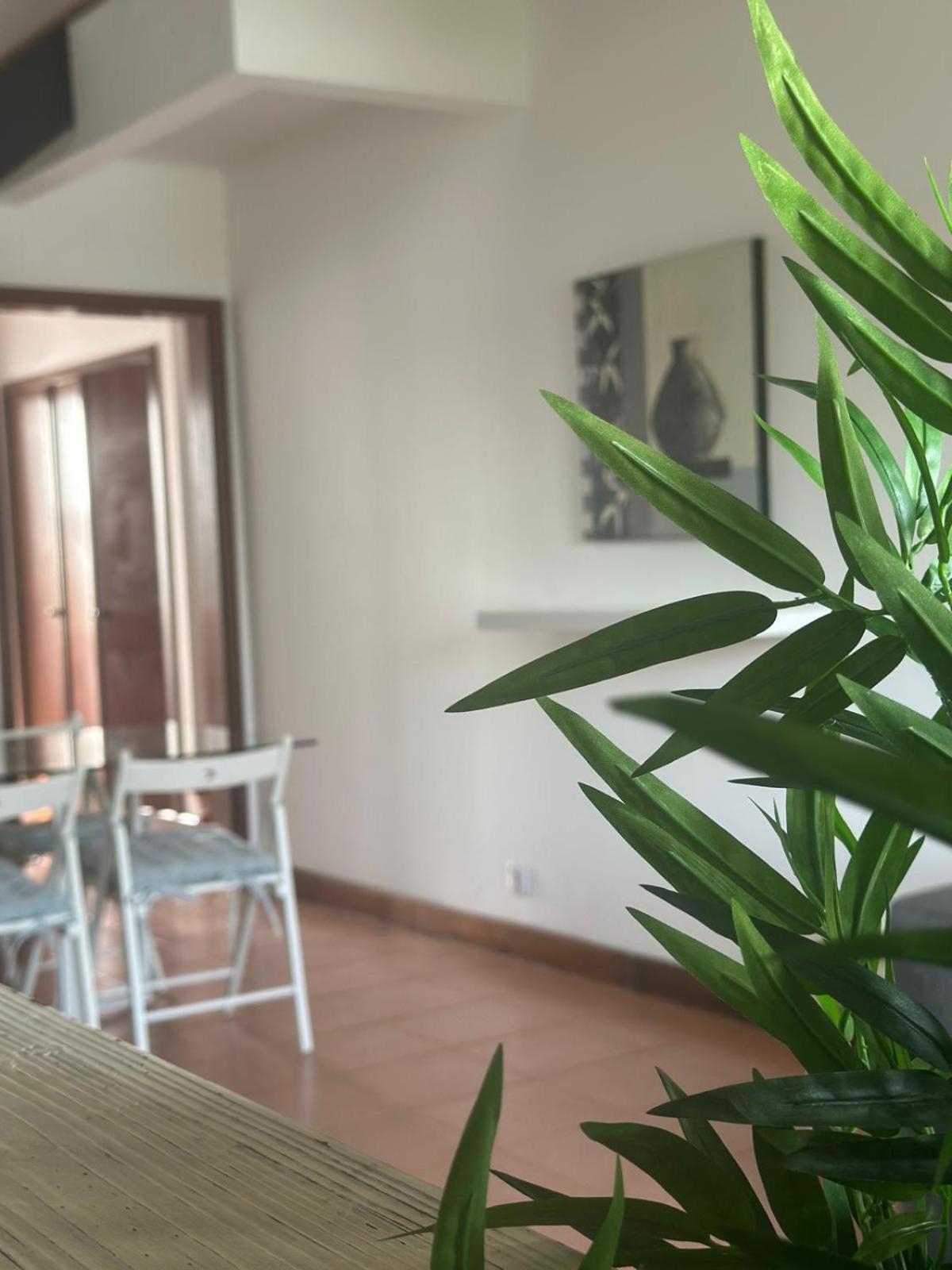 Azores Pedra Apartments - T0 E T1 Πόντα Ντελγκάντα Εξωτερικό φωτογραφία